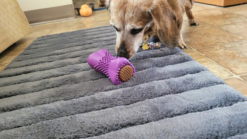 Pea Pod Snuffle Treat Dog Puzzle Toy – lylune