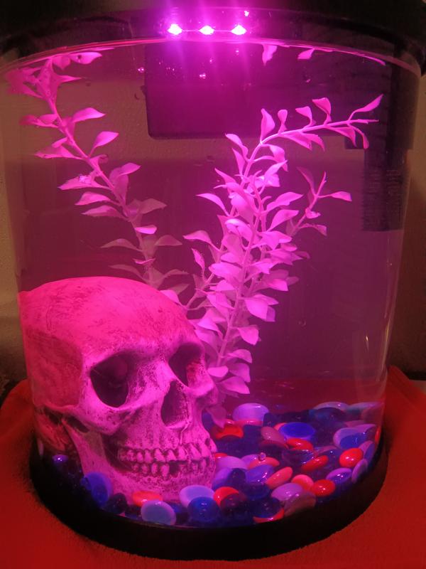 Imagitarium Pearl Aquarium Plant, X-Large | Petco