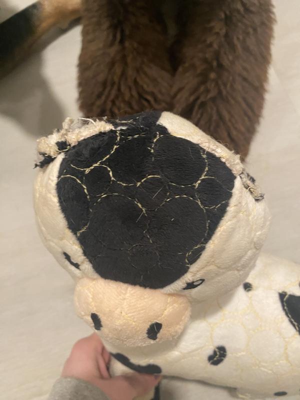 This is the cow toy after a month of these 3 playing with it. I would say it held up fantastic.