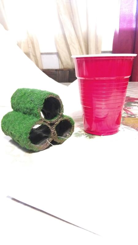 Solo cup for comparison.