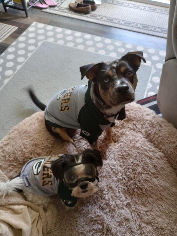 Pets First Green Bay Packers Stripe Small Dog T-Shirt | Petco