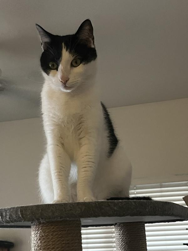 My little one at the very top