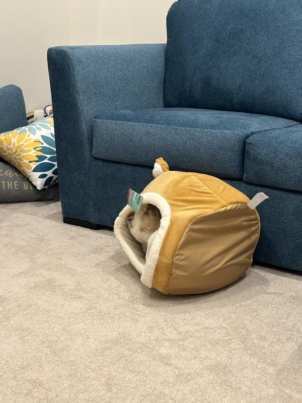 Photo - commentaire 1.