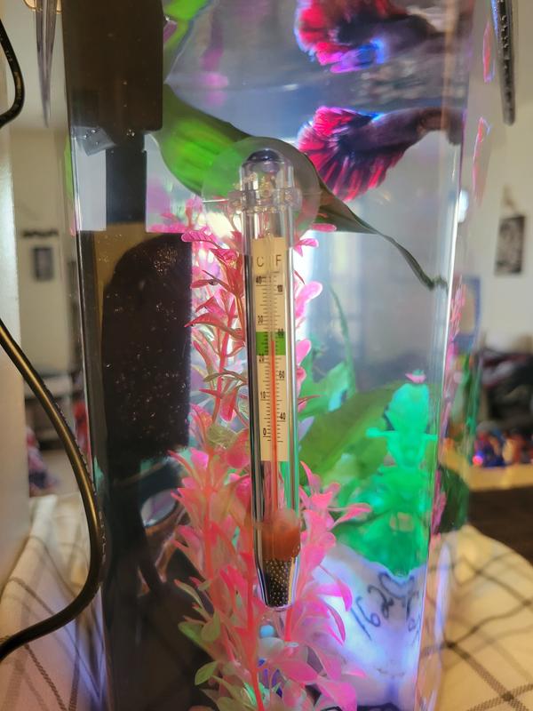 Imagitarium Glass Thermometer, Small