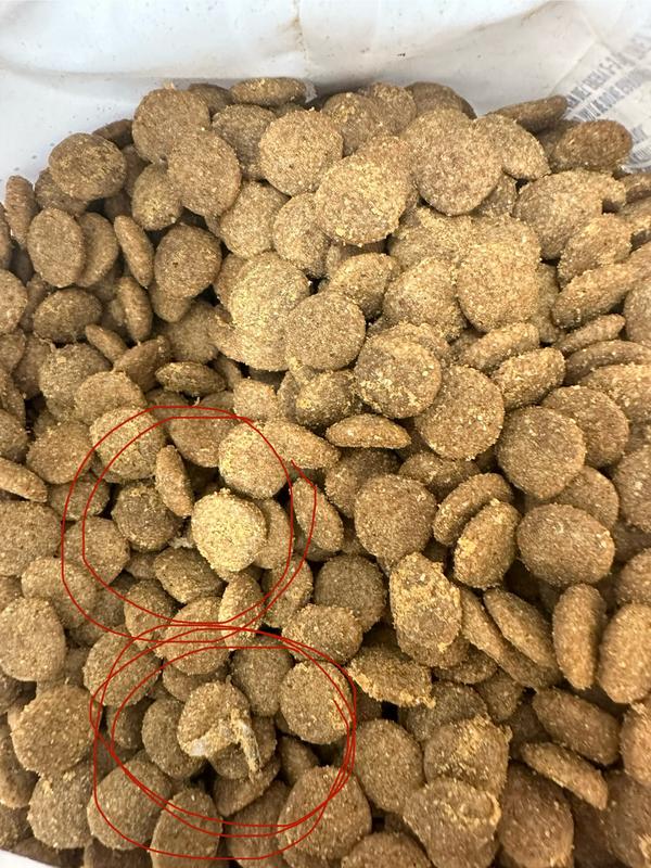 Natural Balance Limited Ingredient Adult Dry Dog Food with Healthy Grains Chicken & Brown Rice Recipe, 24 lbs.