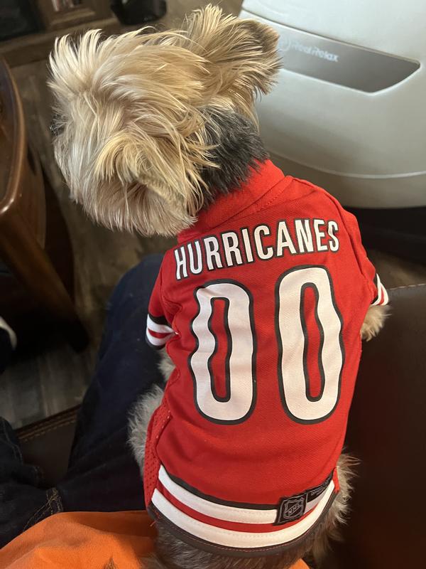 Carolina Hurricanes Official Logo Transparent PNG