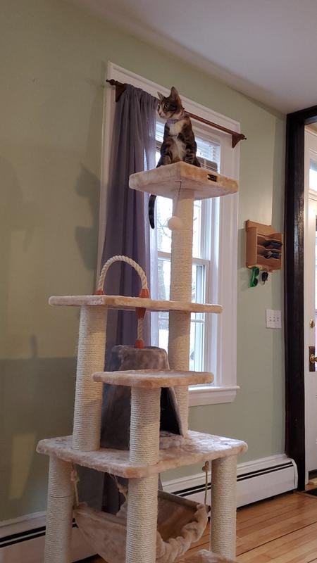 Armarkat Classic Model A6501 Real Wood Cat Tree, 65