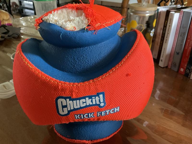 Chuckit kick clearance fetch ball