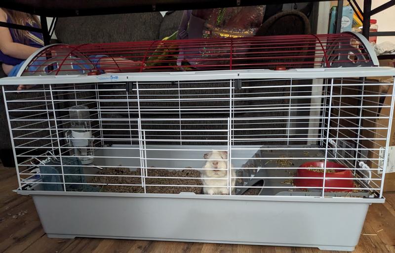 Living world clearance rabbit cage xl