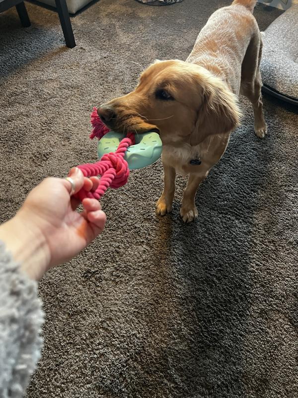 Perfect for playing with your pup