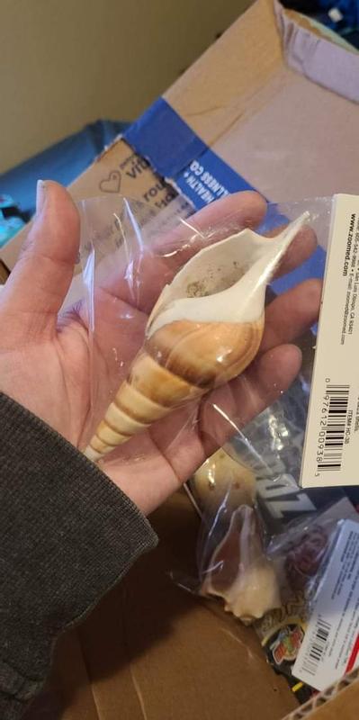 My "extra large" shell for my hermir