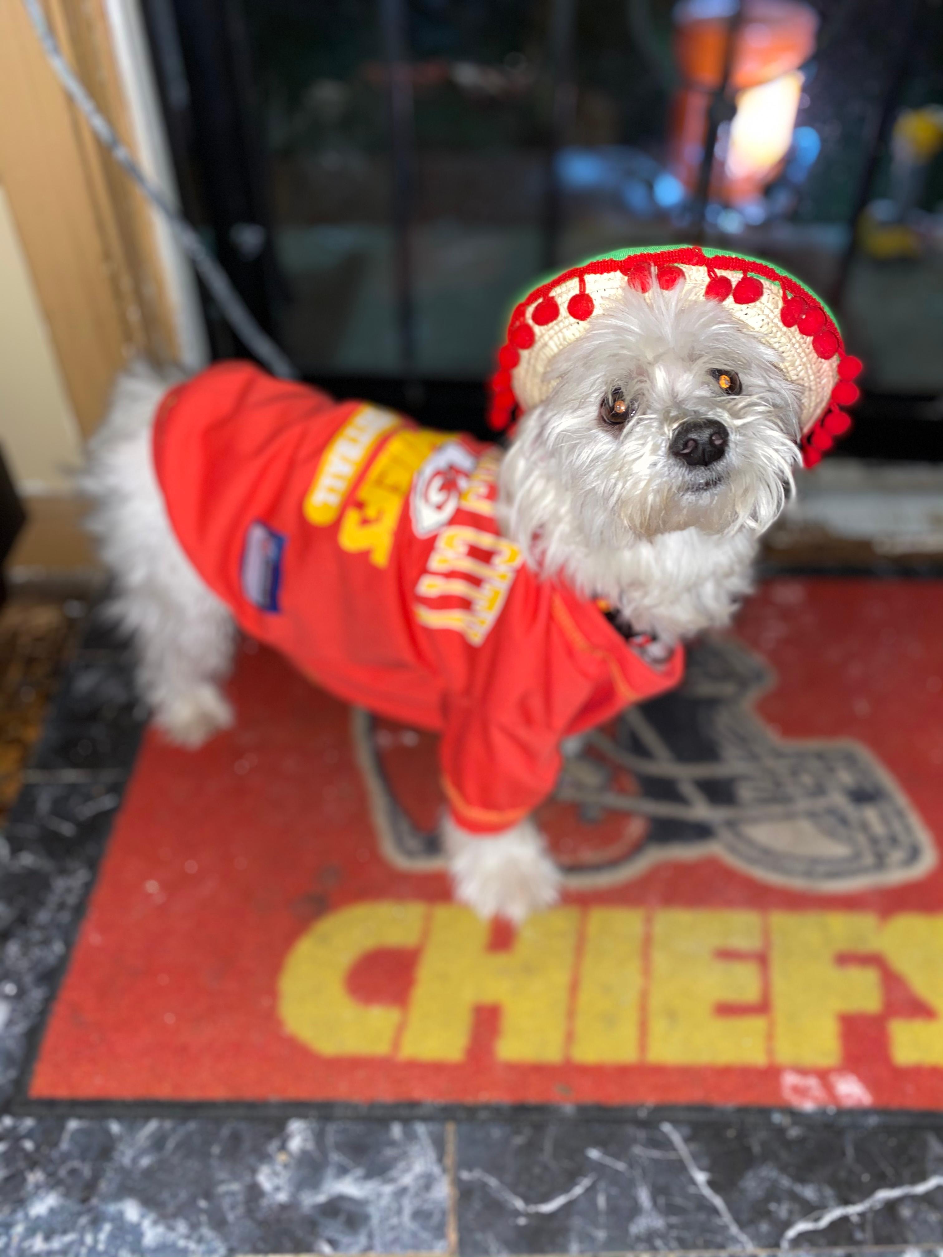 Kelce Chiefs Dog Shirt Kansas City Chiefs Dog Apparel For Sale