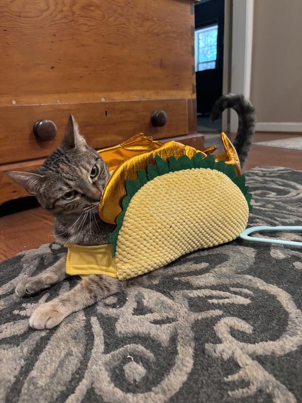 Bootique Fish Taco Costume for Cats, X-Small | Petco