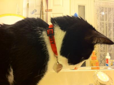 Serenity - Drinking water in bathroom sink