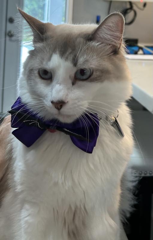 He looks so handsome!
