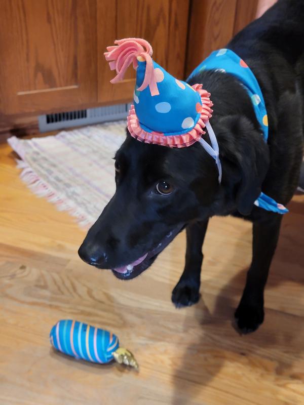 Party Time!