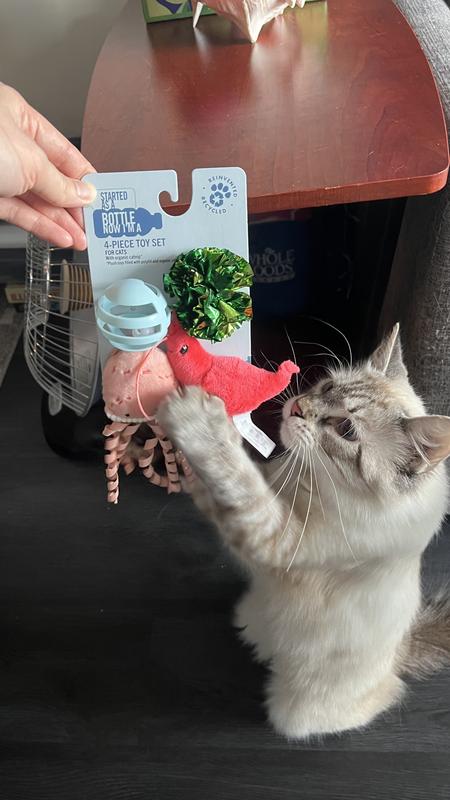 One of my cats was immediately interested in the toys, before we had even taken them off the cardboard!