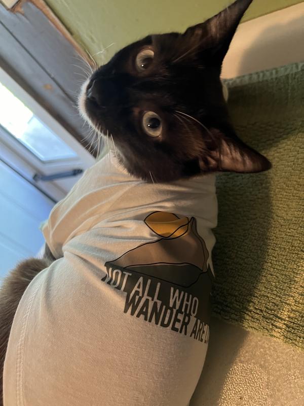 Baloo the Cat