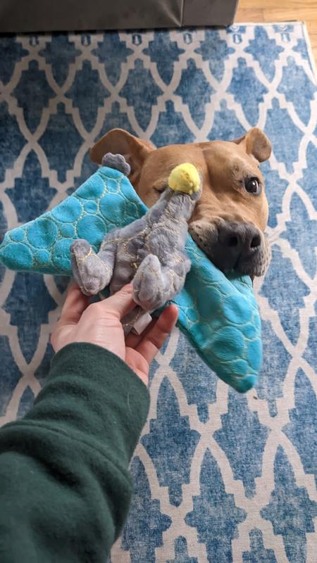 Leaps & Bounds Ruffest & Tuffest Pterodactyl Tough Plush Dog Toy