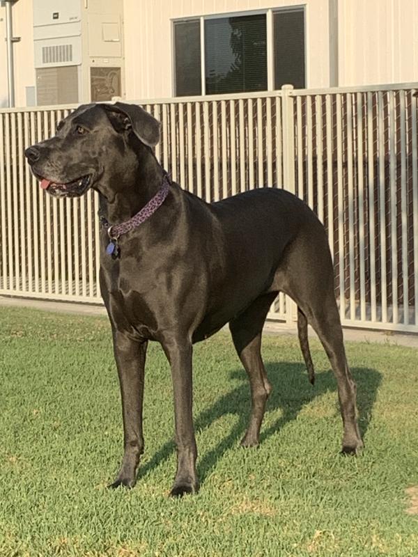 Photo - commentaire&nbsp;3.