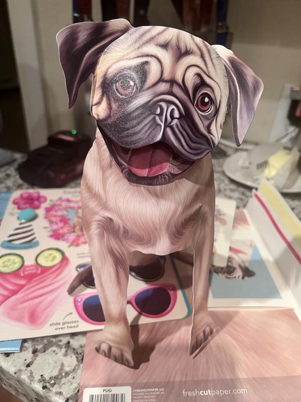 Dress your pug card for almost any occasion!!! ❤️