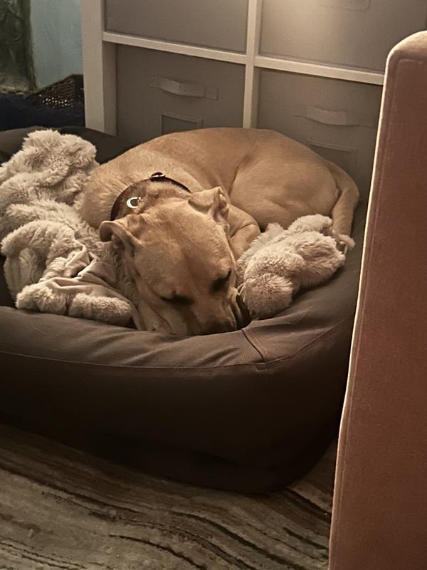 Photo - commentaire 2.