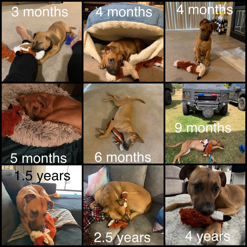 Through the years…
