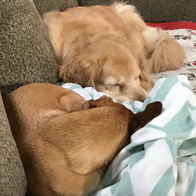 Best buds
