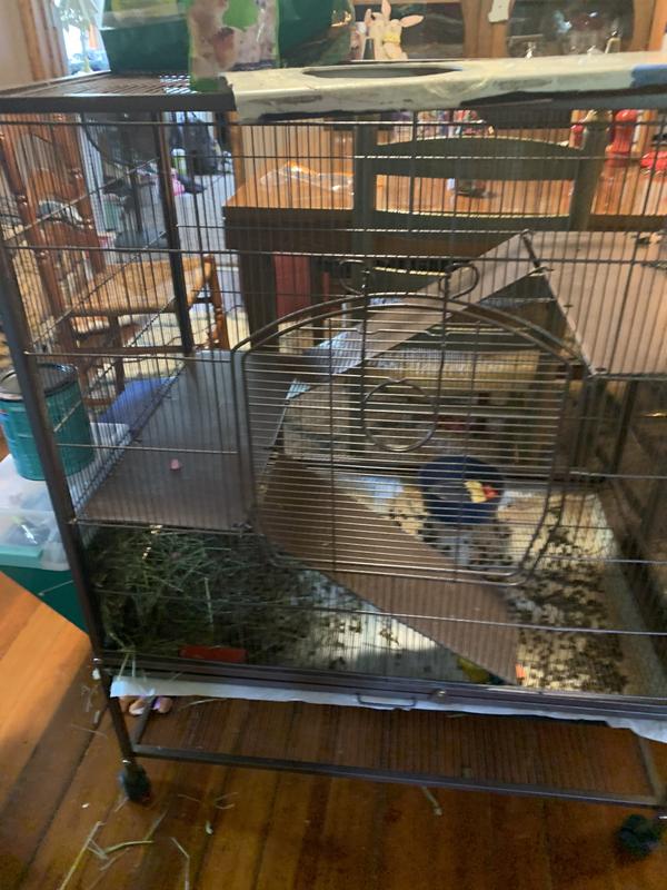 Prevue Pet Products Earthtone Dusted Rose Rat Chinchilla Cage Petco