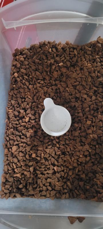 The freeze dried turkey is a big winner in our house!