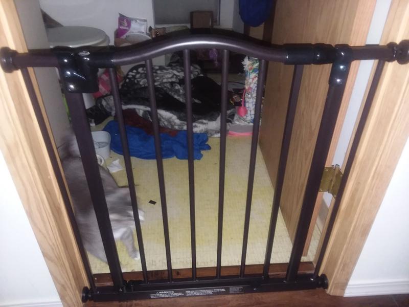 Kat can play with the blankets, but not come onto the wood floors unless we want her out.