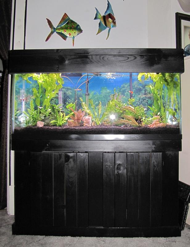 petco aquarium stand