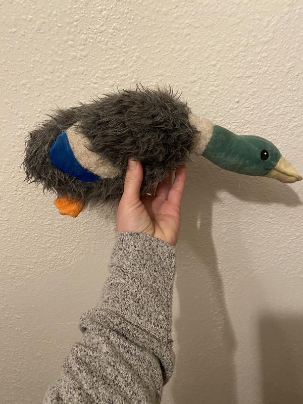 Mallard dog toy hotsell