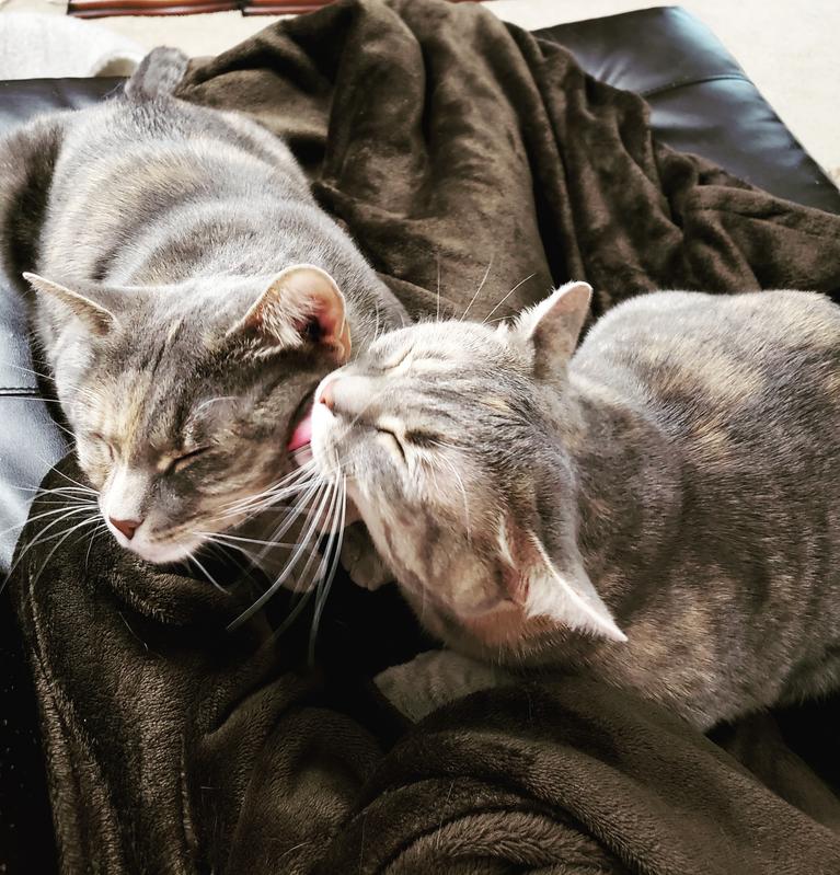 Dottie and Kins