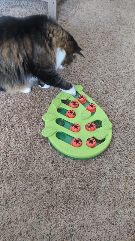 Rainy Day Puzzle & Play Interactive Puzzle Cat Toy
