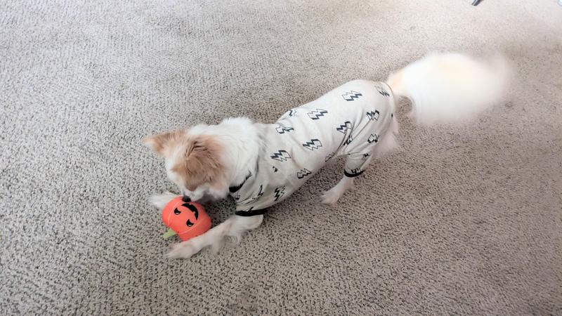 Photo - commentaire 3.