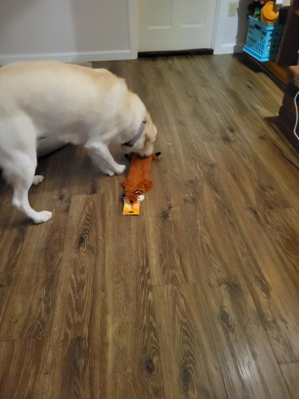 First time with fox