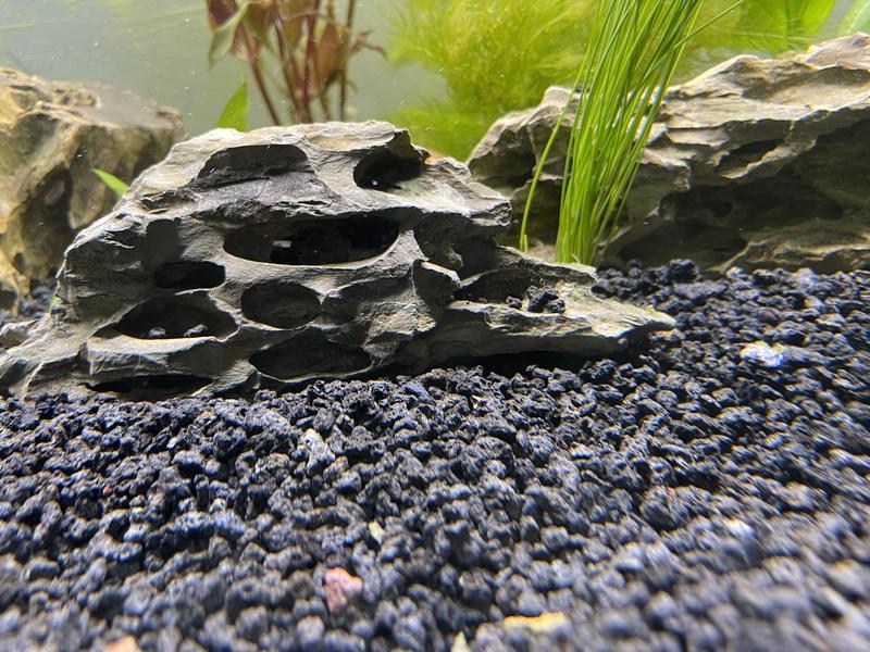 Caribsea eco complete hotsell black planted aquarium substrate