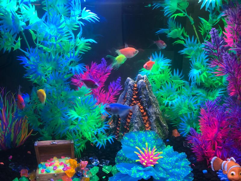 Glofish tank outlet decorations