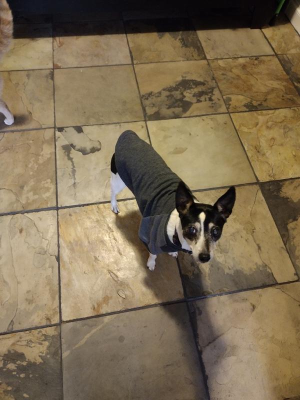 Cami in her new shirt :)