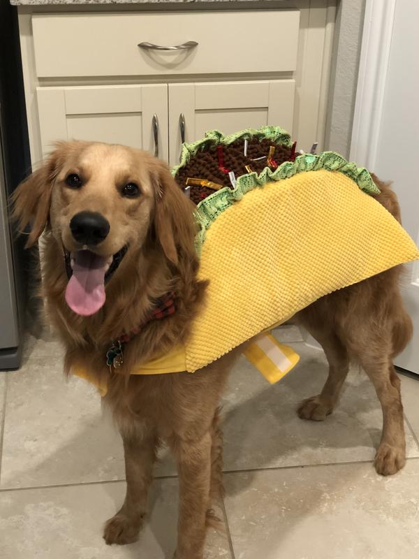 taco dog costume