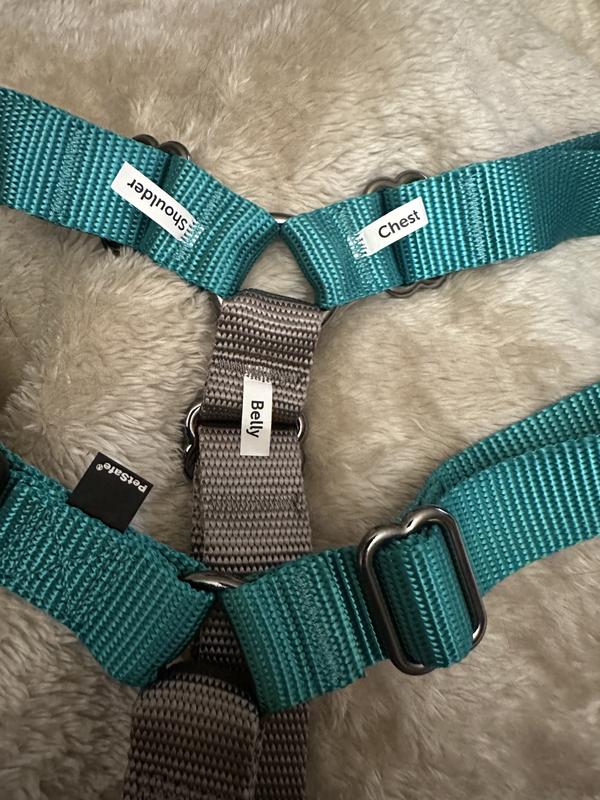 Straps are marked for easier placement until you're used to it.