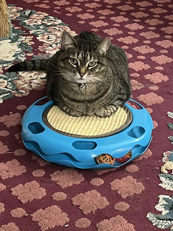 Kiki loves her new toy!