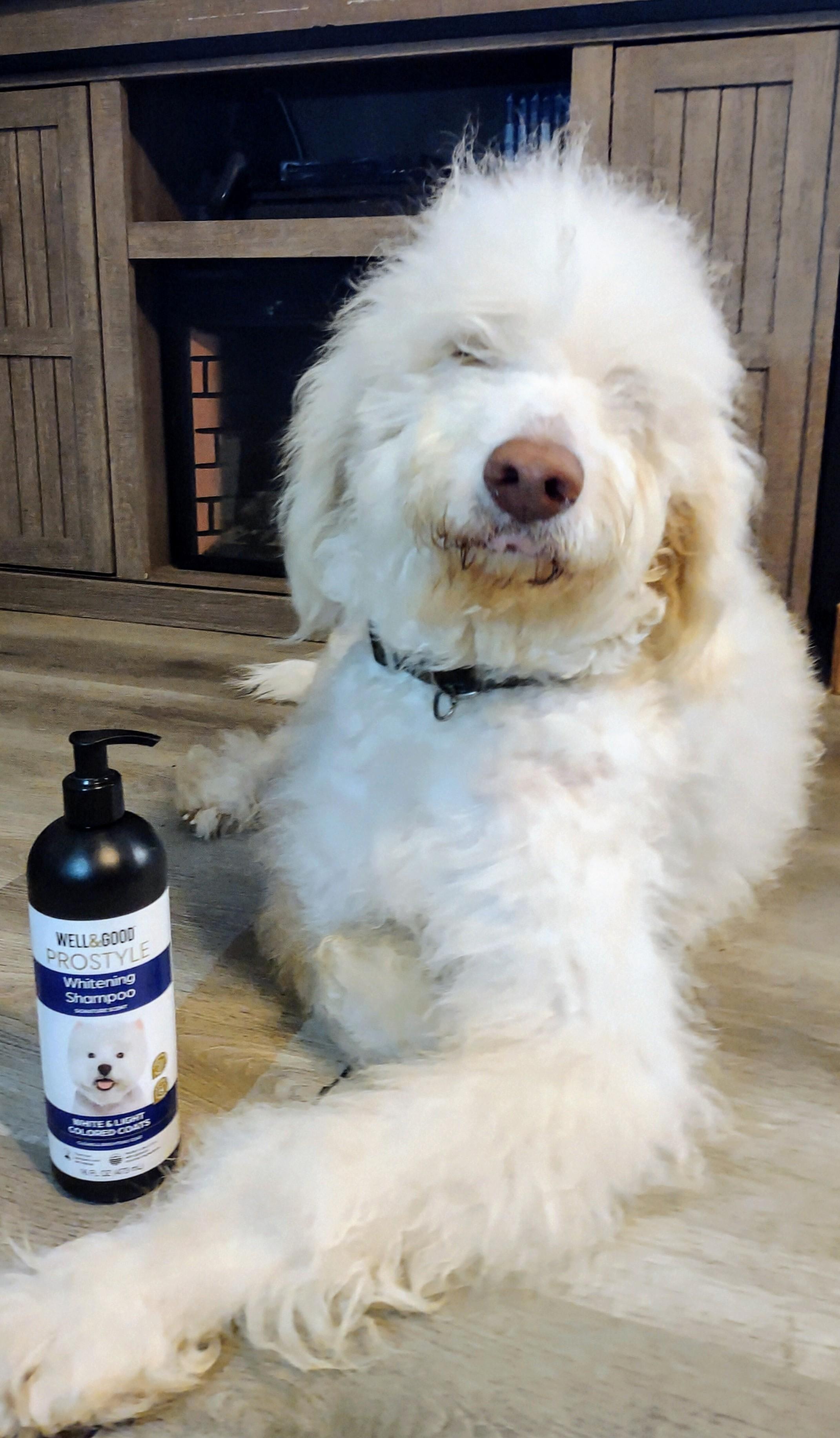 Fur whitening shampoo for dogs best sale