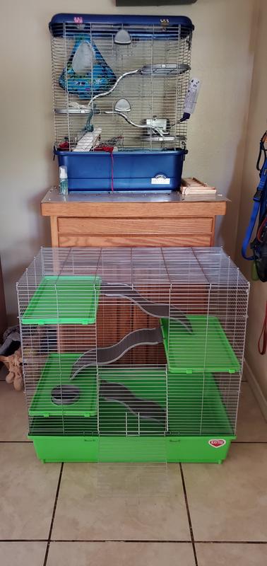 Kaytee multi shop level exotics cage