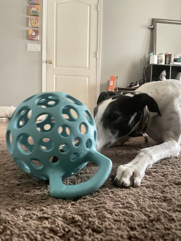 Large dog ball with handle online