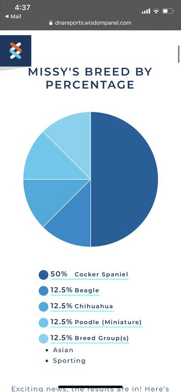 petco dna test