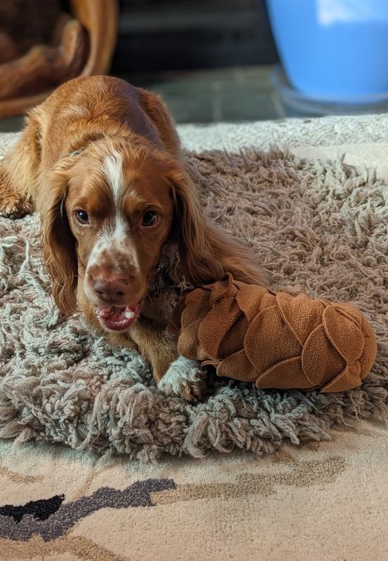 What!!!! I just found a snack?