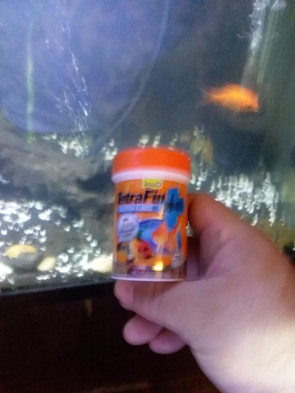 Goldfish flakes