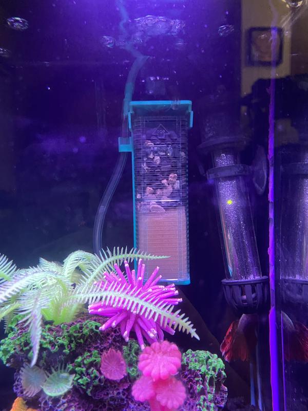 Penn Plax Small World Aquarium Pump & Filter Kit